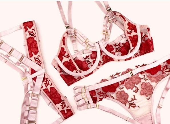 Top Most Expensive Lingerie Brands With Price Details