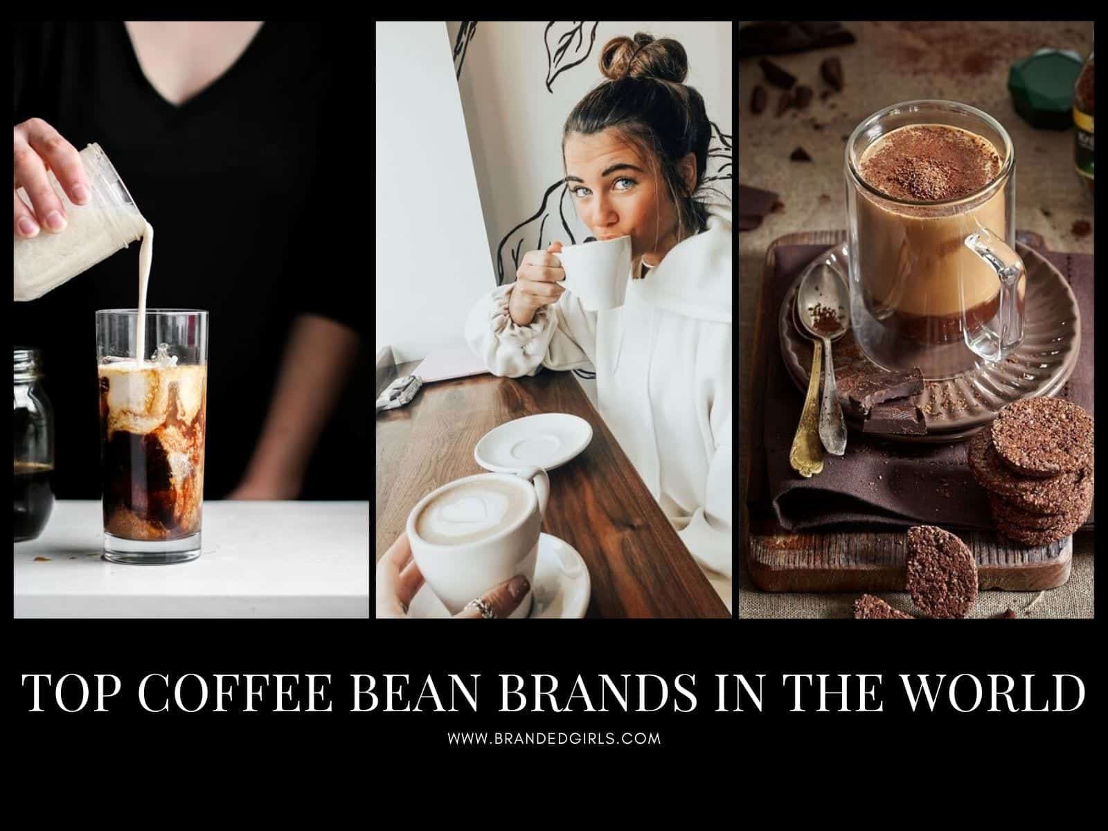Top 10 Coffee Bean Brands In The World With Price & Specialty