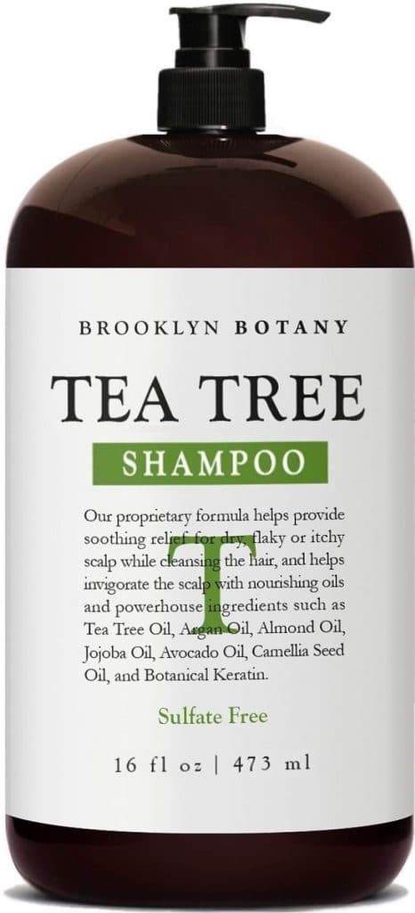 best antifungal shampoos