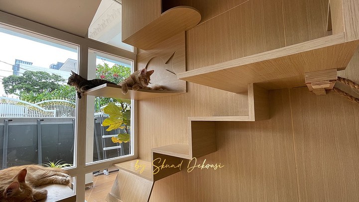 30 Modern Cat House Designs for Your Favorite Cats to Enjoy
